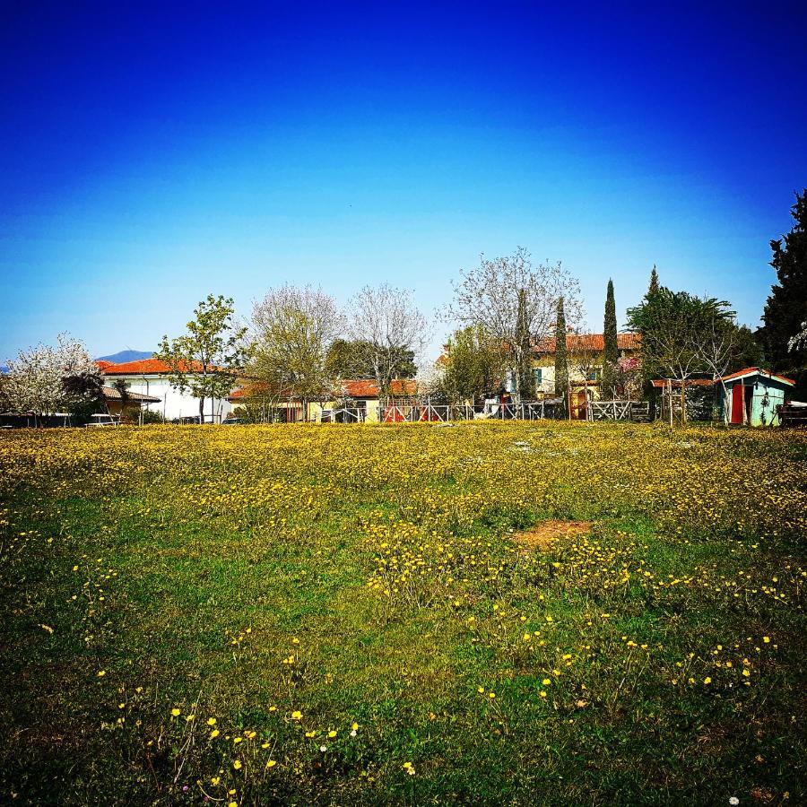 Cascina Corteprimavera, B&B Del Baliot パッシラーノ エクステリア 写真
