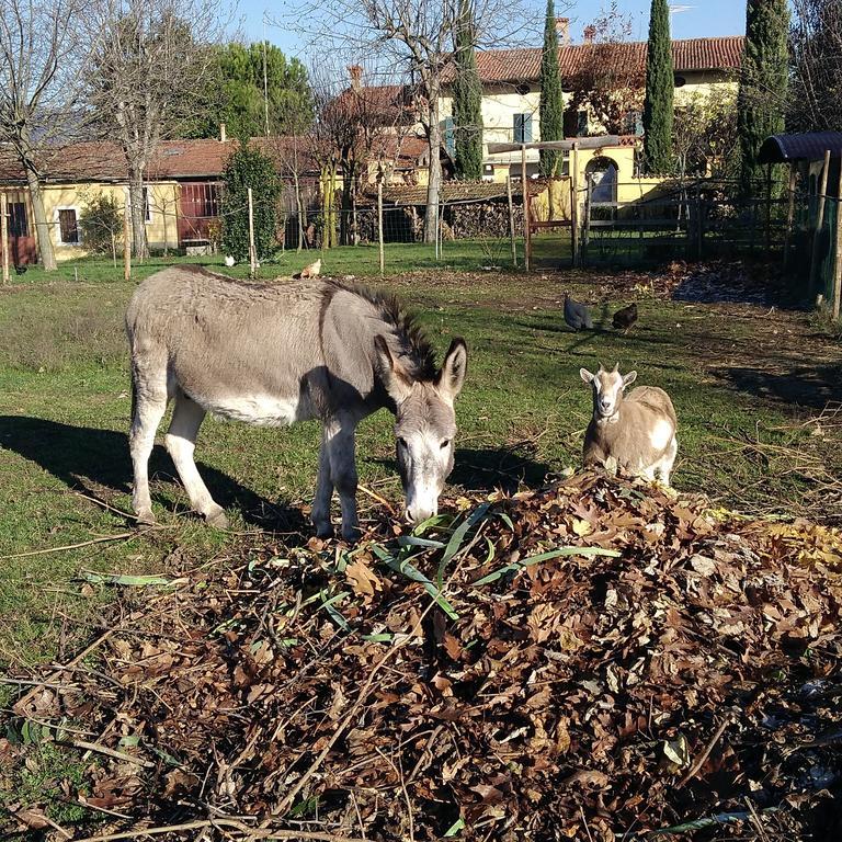 Cascina Corteprimavera, B&B Del Baliot パッシラーノ エクステリア 写真