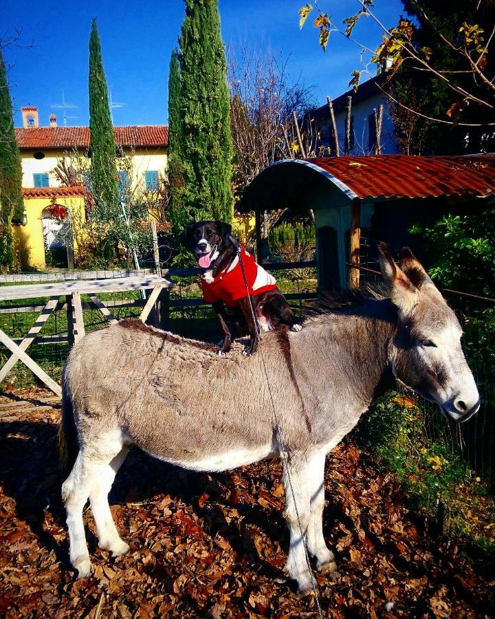 Cascina Corteprimavera, B&B Del Baliot パッシラーノ エクステリア 写真