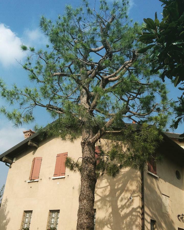 Cascina Corteprimavera, B&B Del Baliot パッシラーノ エクステリア 写真